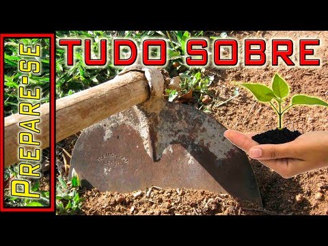 Como Preparando o Solo para uma Horta orgânica - Prepare-se