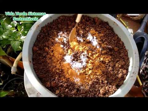Fungo nas raízes? Saiba como acabar!