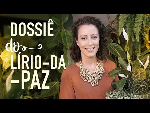 Como cuidar do LÍRIO-DA-PAZ para FLORIR