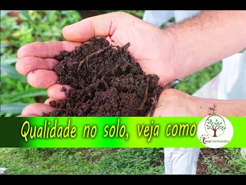 Como Adubar seu Pomar de forma Correta com Sergio Semerdijan