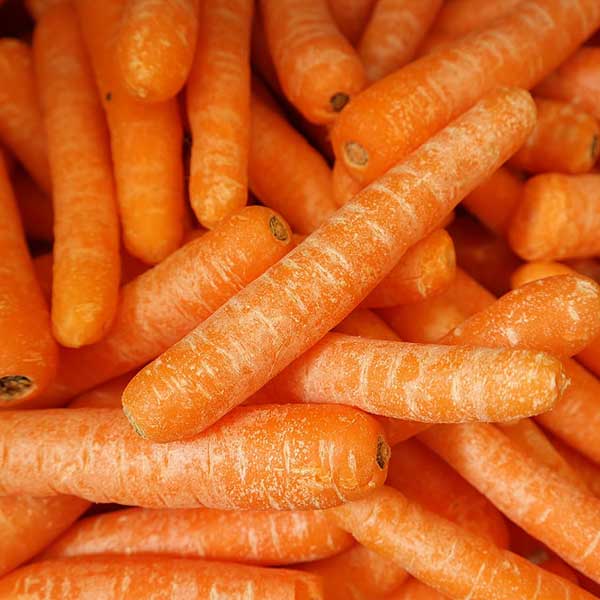 como cuidar da cenoura