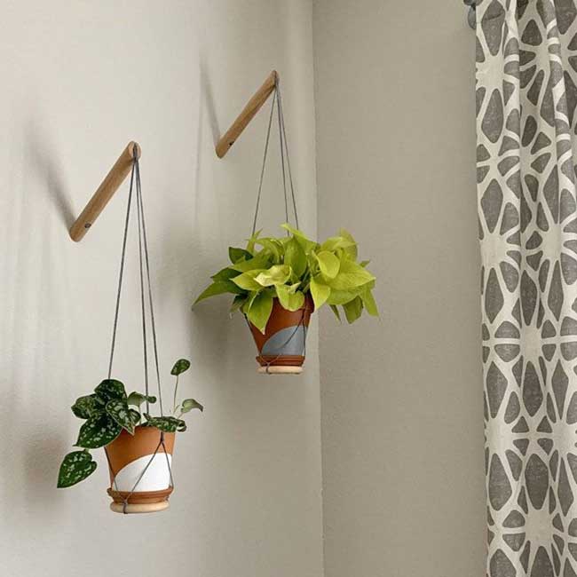 Gancho de parede para plantas