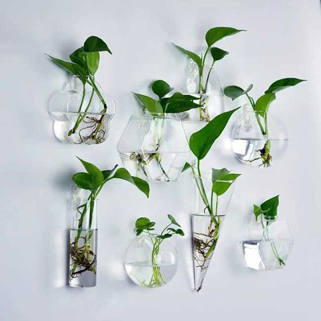 Vasos de parede para plantas
