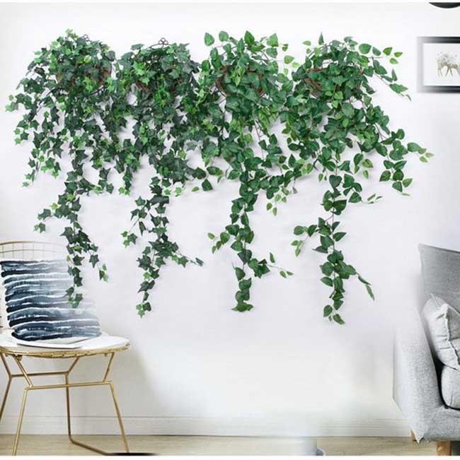 parede de plantas na parede
