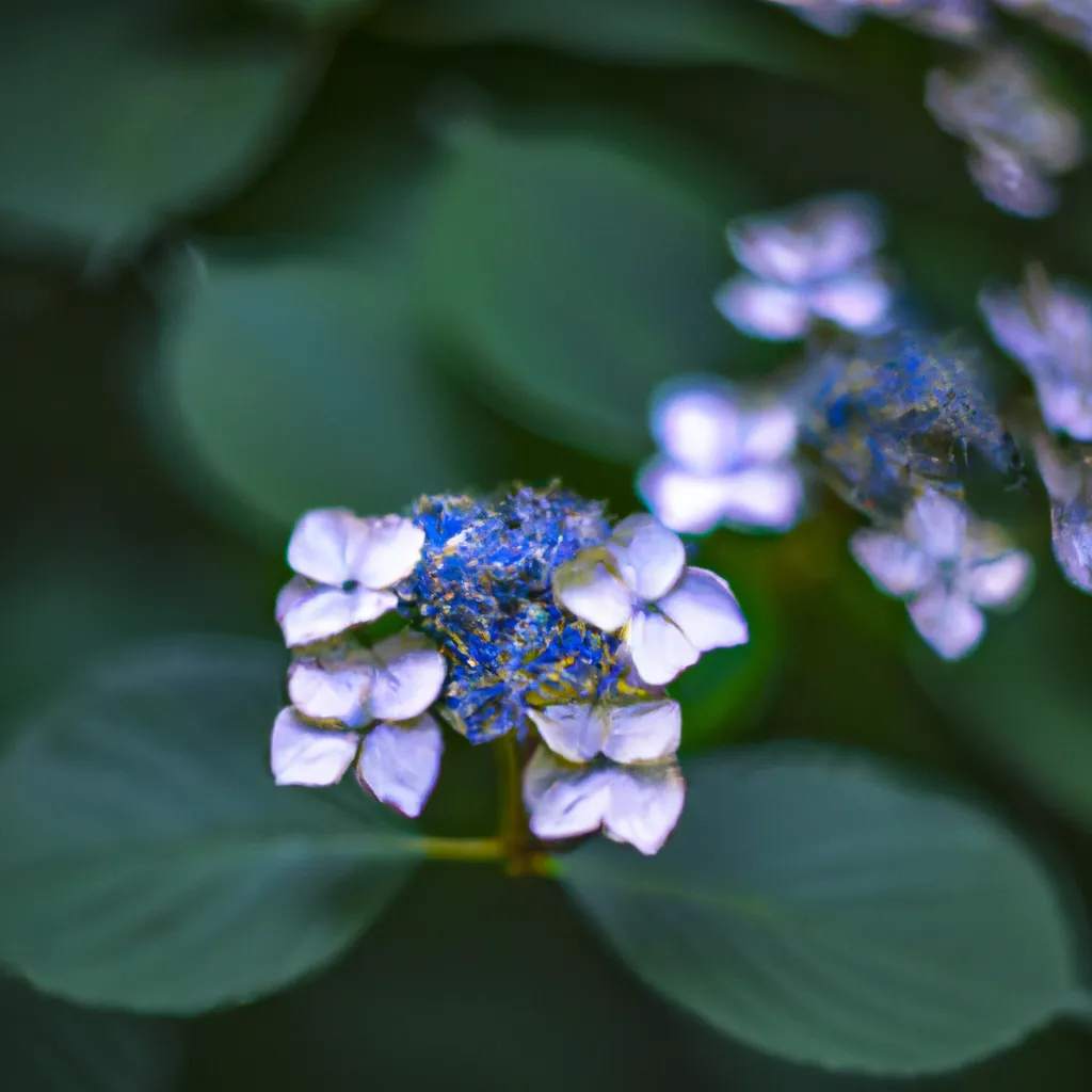 Descubra a Beleza Exótica da Hydrangea Aspera 3 Descubra a Beleza Exótica da Hydrangea Aspera 2