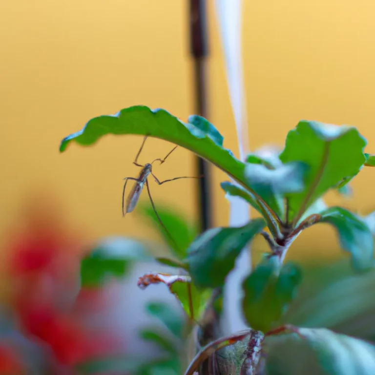 Fotos Como Controlar Mosquitos Em Plantas De Jardim Scaled