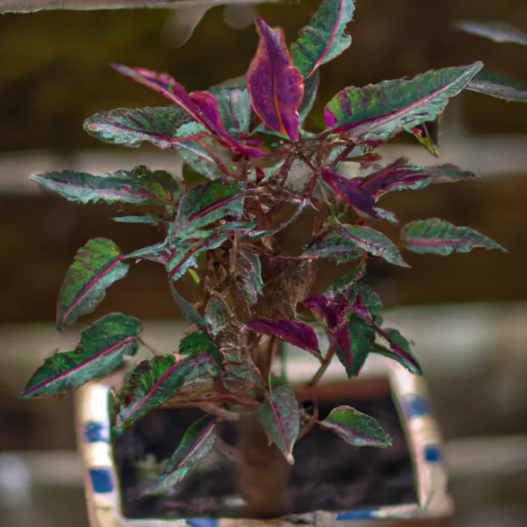 Fotos Como Cultivar Plantas De Clima Temperado Em Solos Especificos Scaled