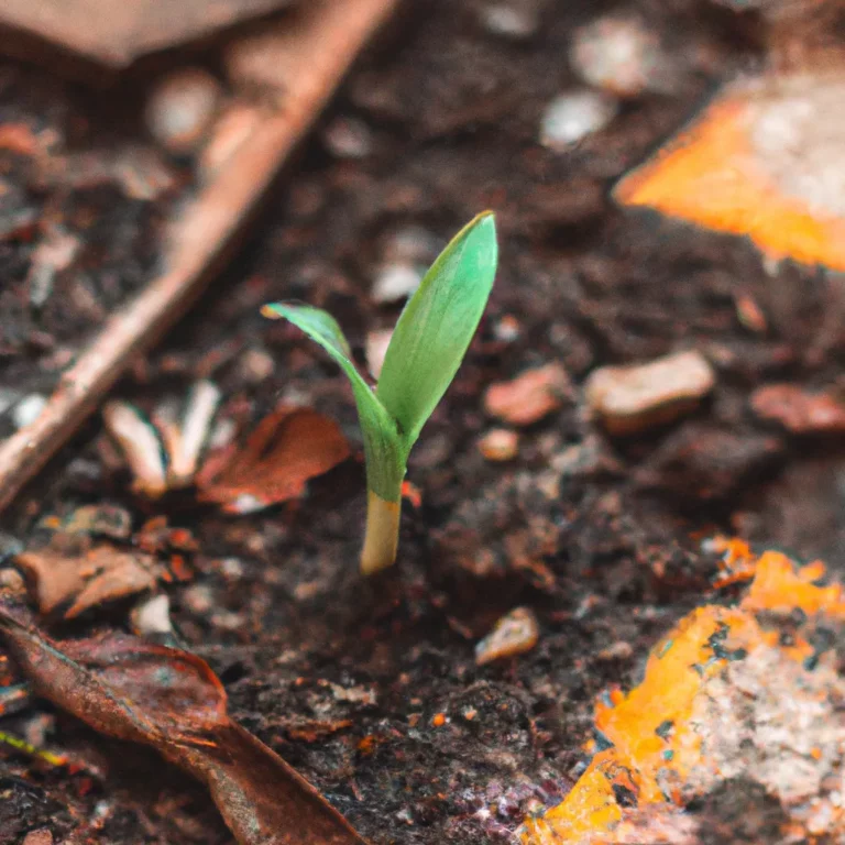 Importância dos Tipos de Solo para o Crescimento das Plantas 61 Importância dos Tipos de Solo para o Crescimento das Plantas 60