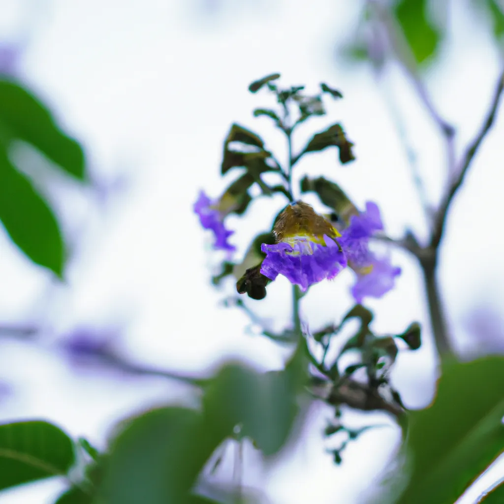 Descubra os Benefícios da Paulownia Tomentosa 1 Descubra os Benefícios da Paulownia Tomentosa