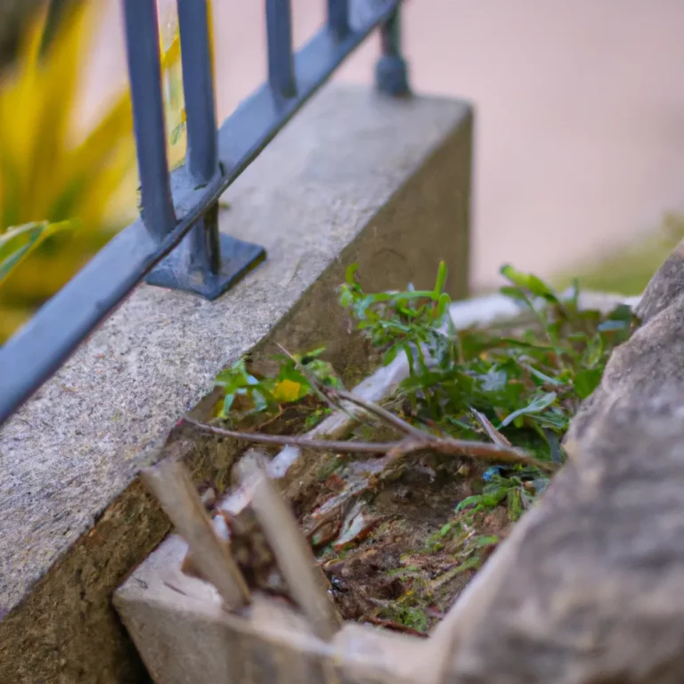 Fotos Pragas De Jardim Que Afetam Plantas Em Canteiros De Pedra Scaled