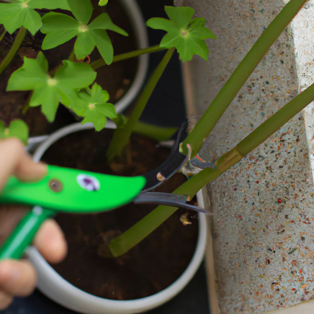 Tripes: Ameaça às Plantas e Como Combatê-las 7 Tripes: Ameaça às Plantas e Como Combatê-las 6